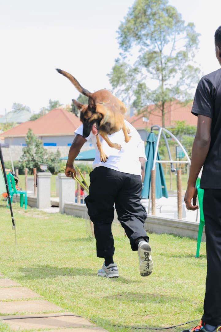 Customized Training Plans